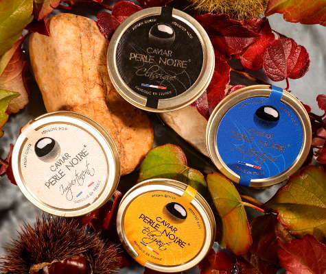 perle noire noel 2025 boites