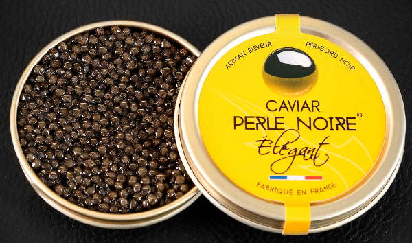 perle noire noel 2025 elegant